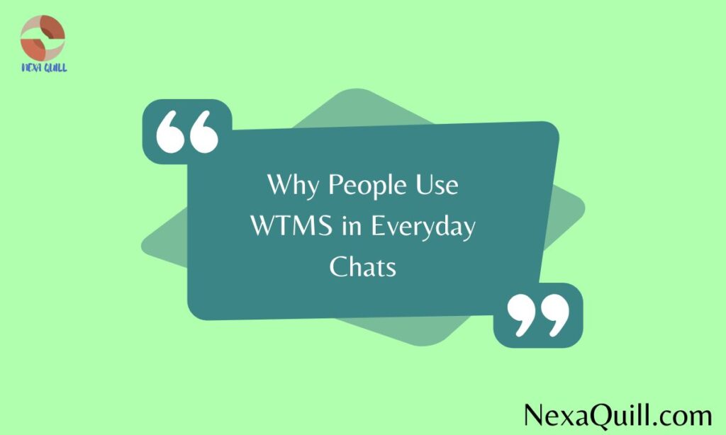 Why People Use WTMS in Everyday Chats