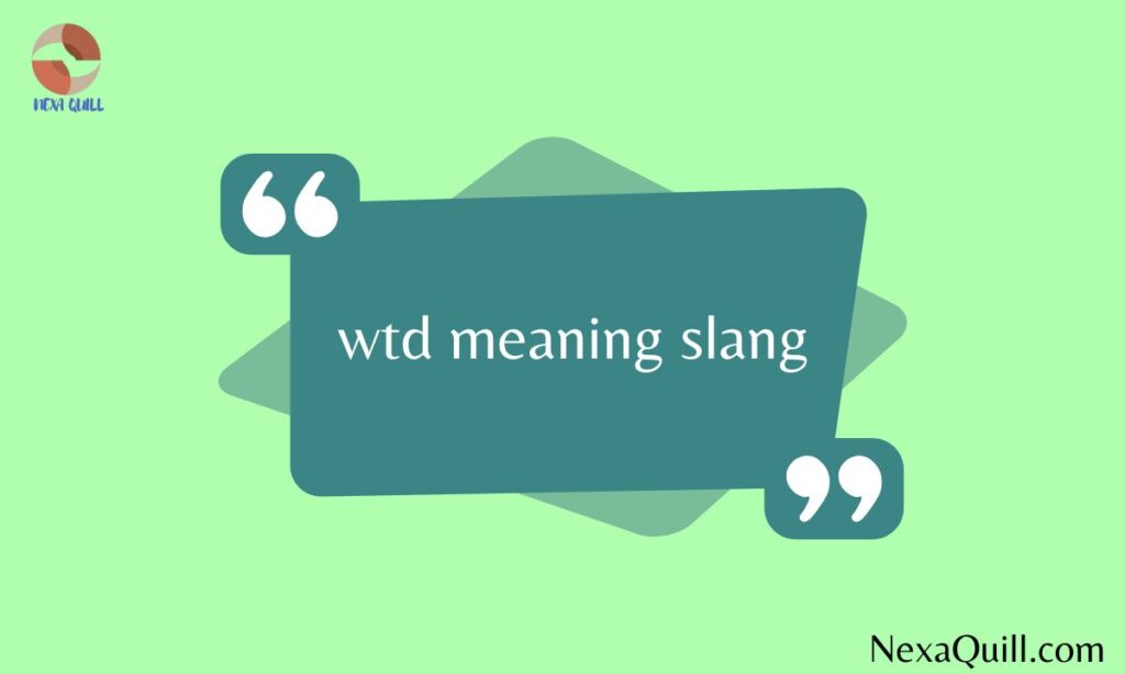wtd meaning slang